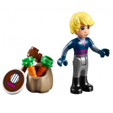 Анна и Кристоф: прогулка на санях (м/ф Холодное сердце) Lego Princess