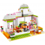 Фрэш-бар Хартлейк Сити (Lego Friends Juice Bar) 41035-lg