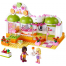 Фрэш-бар Хартлейк Сити (Lego Friends Juice Bar) 41035-lg